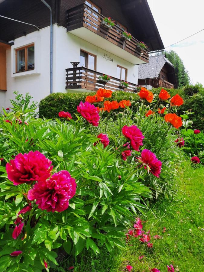 Haus Alpina Apartman Weissensee Kültér fotó