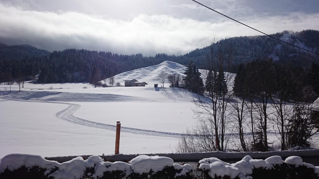 Haus Alpina Apartman Weissensee Kültér fotó